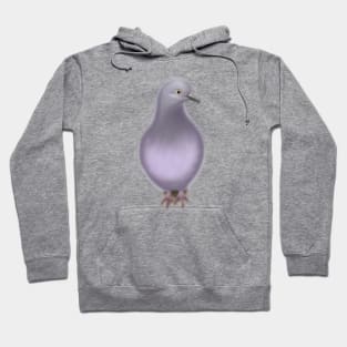 Cute Dove Drawing Hoodie